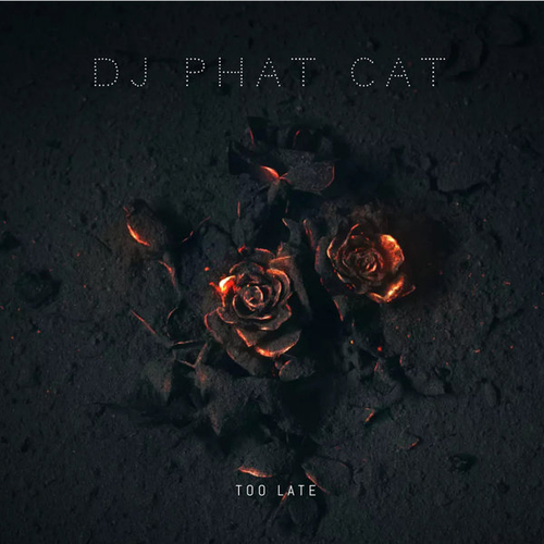 DJ Phat Cat - Too late [CAT760133]